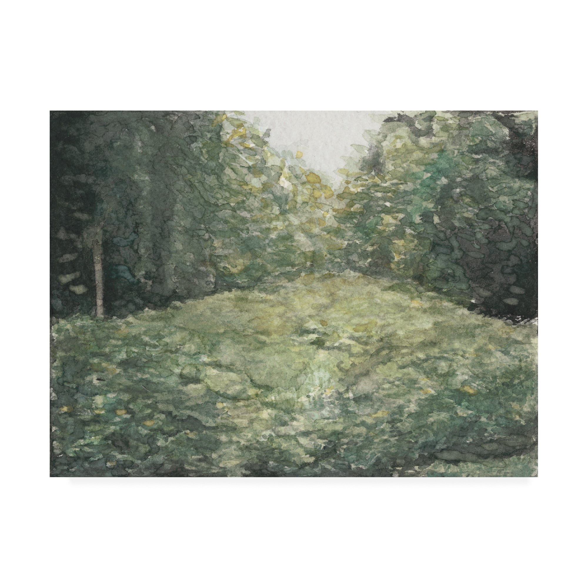 Trademark Fine Art 'Virginia Forest I' Canvas Art by Natasha Chabot