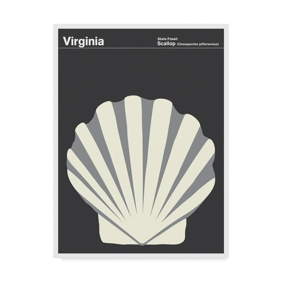 Trademark Fine Art 'Virginia Scallop' Canvas Art by Print Collection - Artist