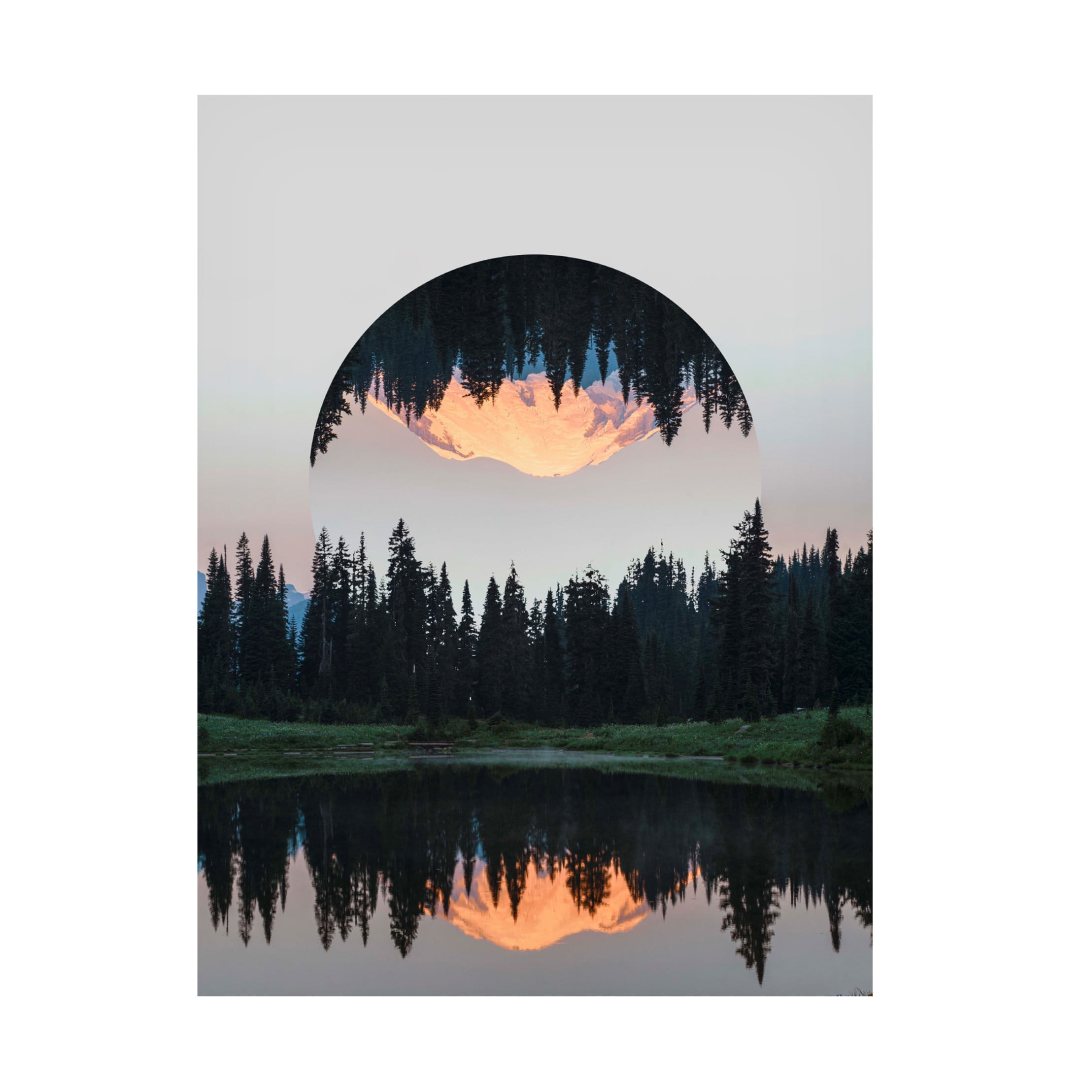 Trademark Fine Art Vision Studio  Western Treetops I Canvas Wall Art