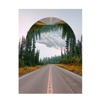 Trademark Fine Art Vision Studio  Western Treetops II Canvas Wall Art