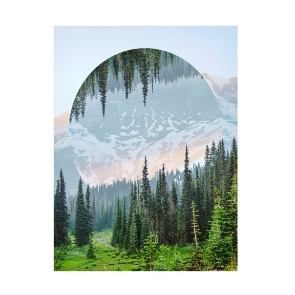 Trademark Fine Art Vision Studio  Western Treetops III Canvas Wall Art