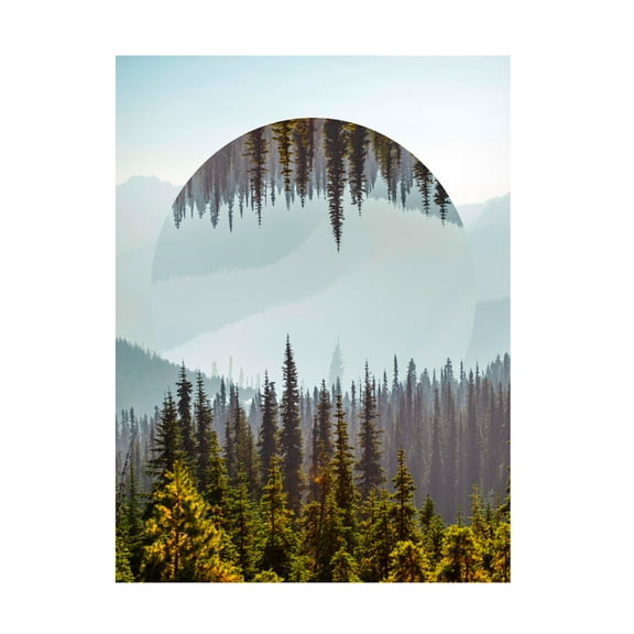 Trademark Fine Art Vision Studio  Western Treetops IV Canvas Wall Art