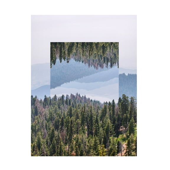 Trademark Fine Art Vision Studio Western Treetops V Canvas Wall Art