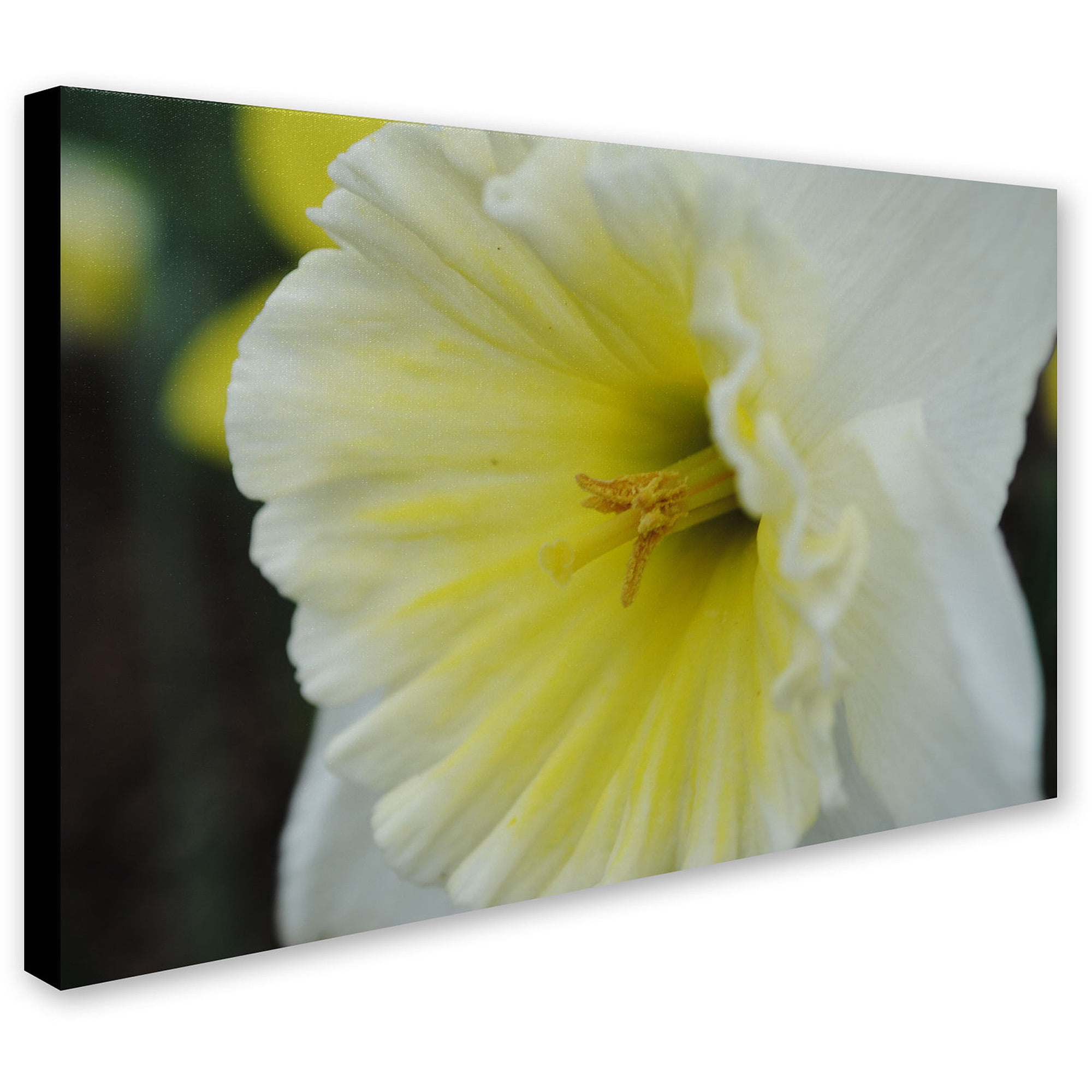 Trademark Fine Art "Vitality" Canvas Art by Monica Fleet