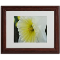 Trademark Fine Art "Vitality" by Monica Fleet, Wood Frame