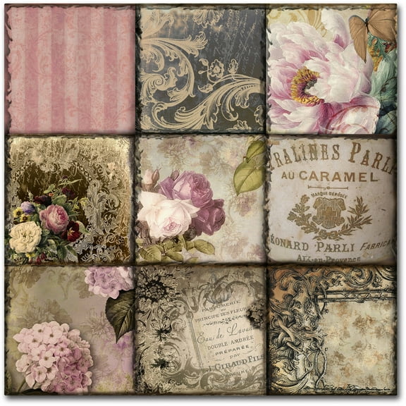 Trademark Fine Art "Viva La Paris I" Canvas Art by Color Bakery