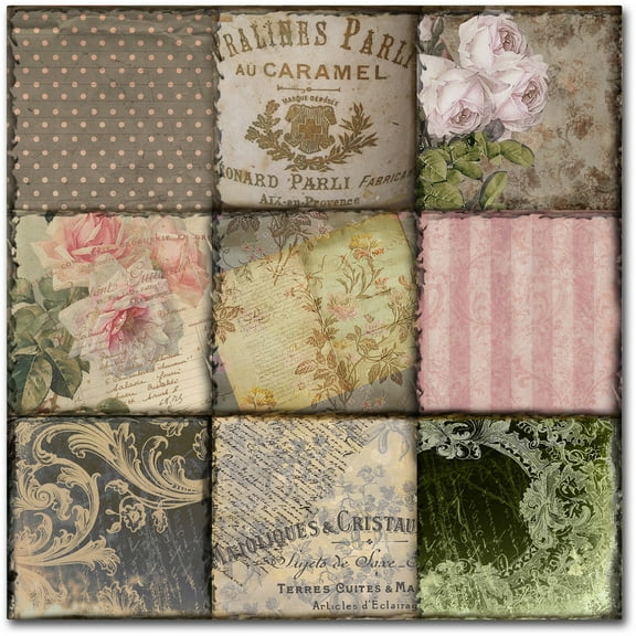 Trademark Fine Art "Viva La Paris II" Canvas Art by Color Bakery