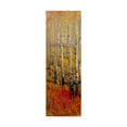 thumbnail image 1 of Trademark Fine Art 'Vivid Birch Forest I' Canvas Art by Tim OToole, 1 of 4