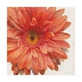 thumbnail image 1 of Trademark Fine Art 'Vivid Daisy' Canvas Art by Danhui Nai, 1 of 3