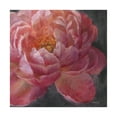 thumbnail image 1 of Trademark Fine Art 'Vivid Floral I Crop' Canvas Art by Danhui Nai, 1 of 3