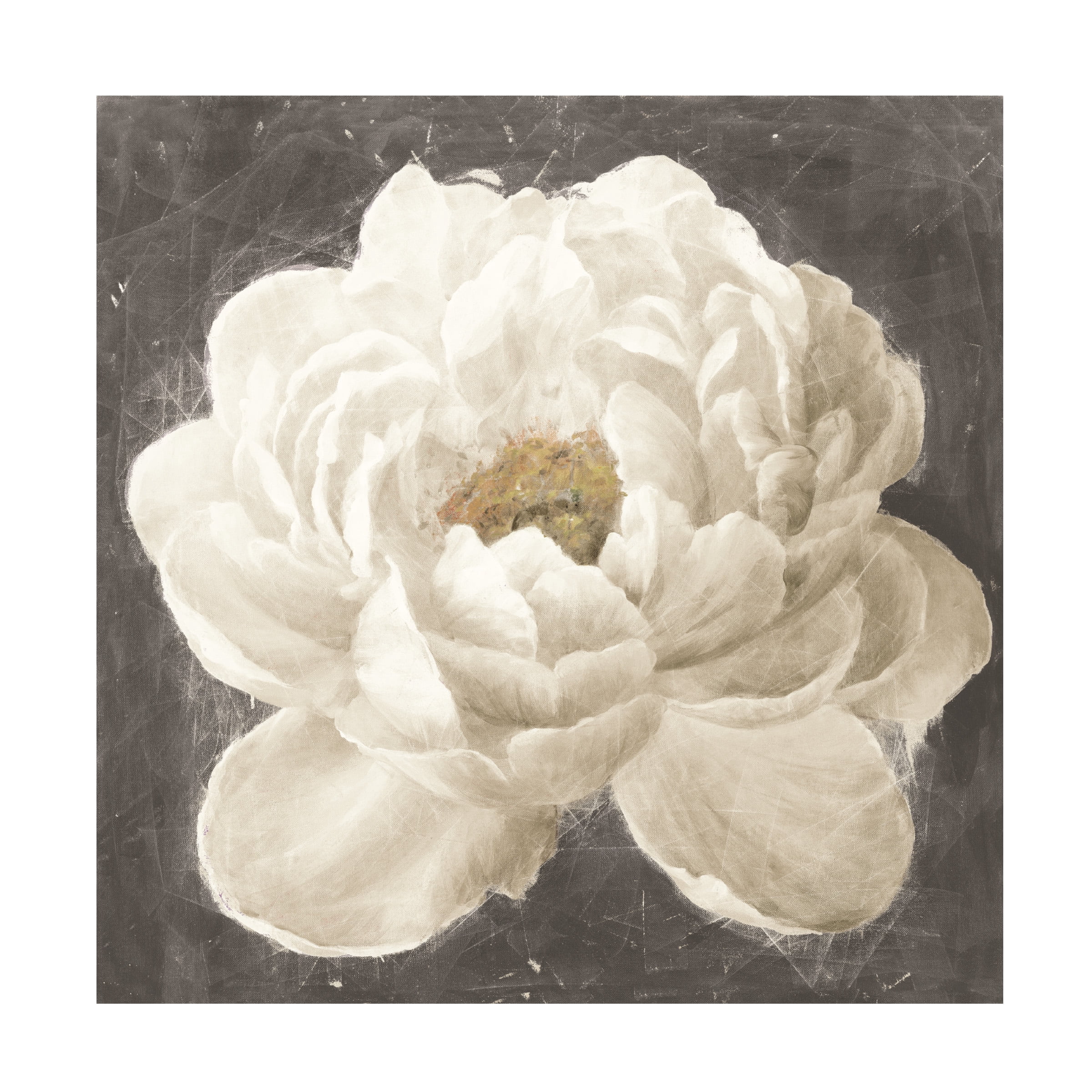 Trademark Fine Art 'Vivid Floral I White Flower' Canvas Art by Danhui Nai