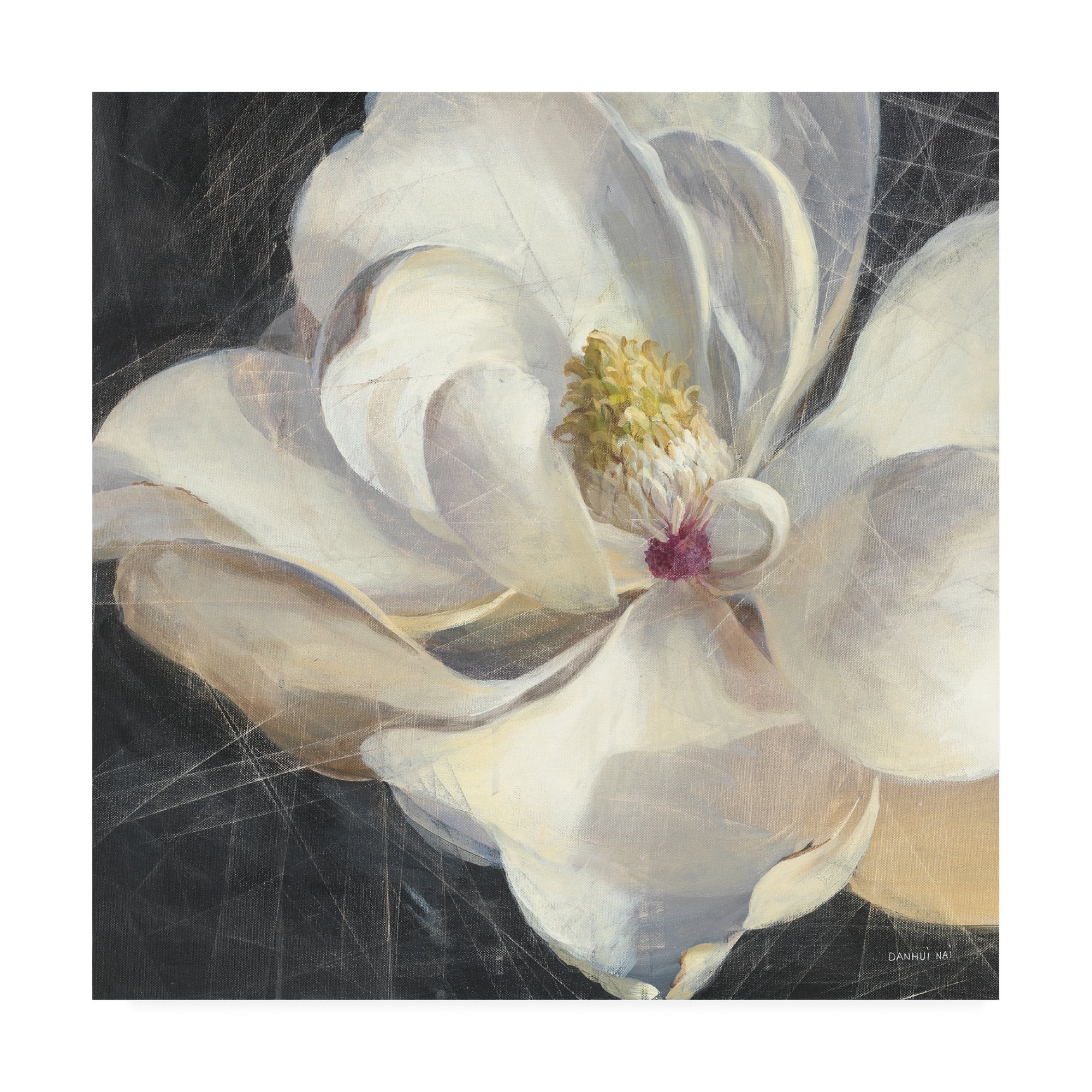 Trademark Fine Art 'Vivid Floral IV Crop' Canvas Art by Danhui Nai