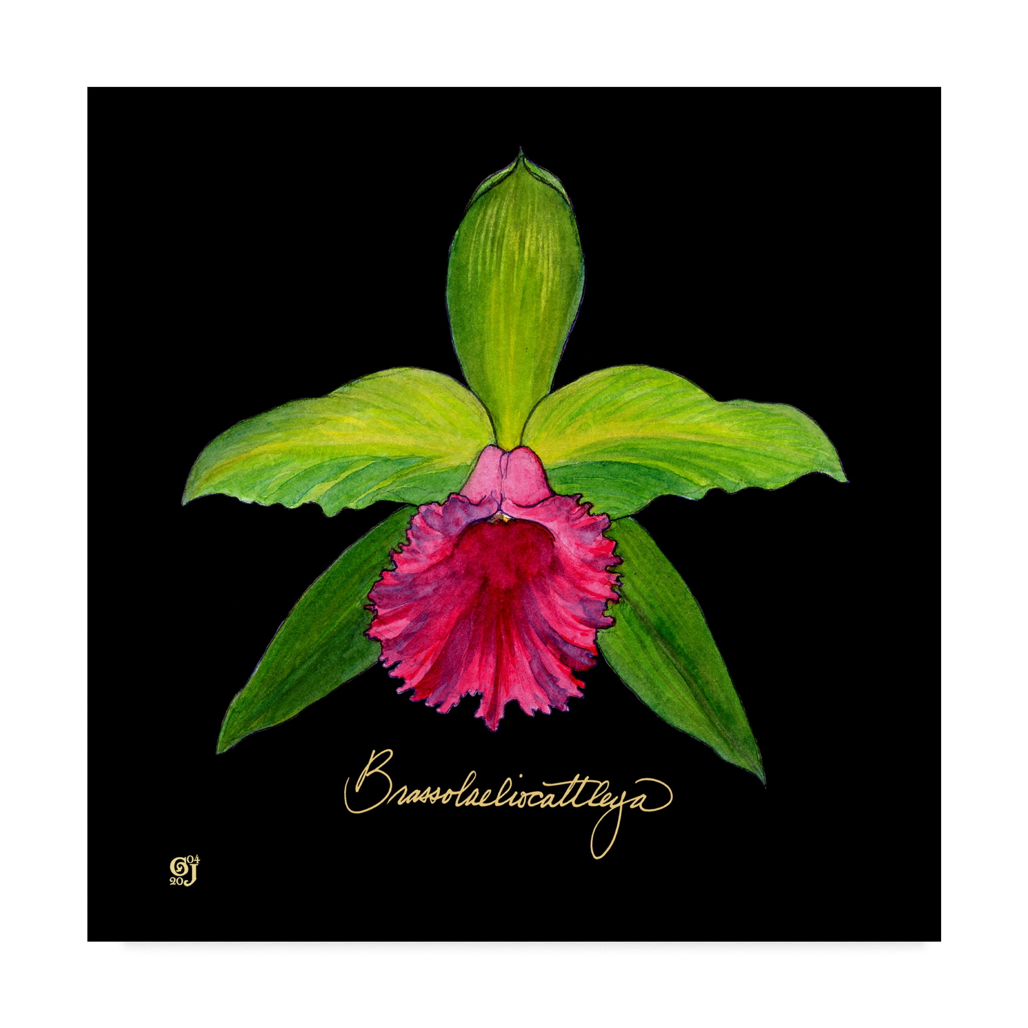 Vivid Pink and Green Orchid Floral Canvas Art, 14 x 14