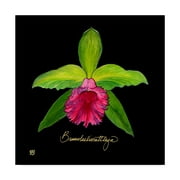 Trademark Fine Art 'Vivid Orchid I' Canvas Art by Ginny Joyner