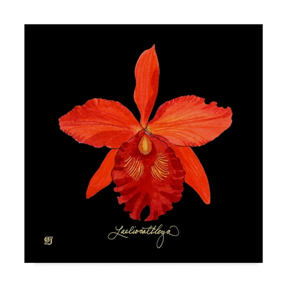 Trademark Fine Art 'Vivid Orchid IX' Canvas Art by Ginny Joyner