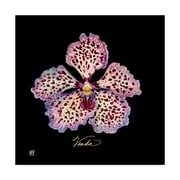 Trademark Fine Art 'Vivid Orchid V' Canvas Art by Ginny Joyner