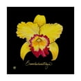 thumbnail image 1 of Trademark Fine Art 'Vivid Orchid VII' Canvas Art by Ginny Joyner, 1 of 4