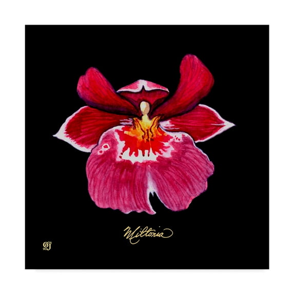 Trademark Fine Art 'Vivid Orchid VIII' Canvas Art by Ginny Joyner