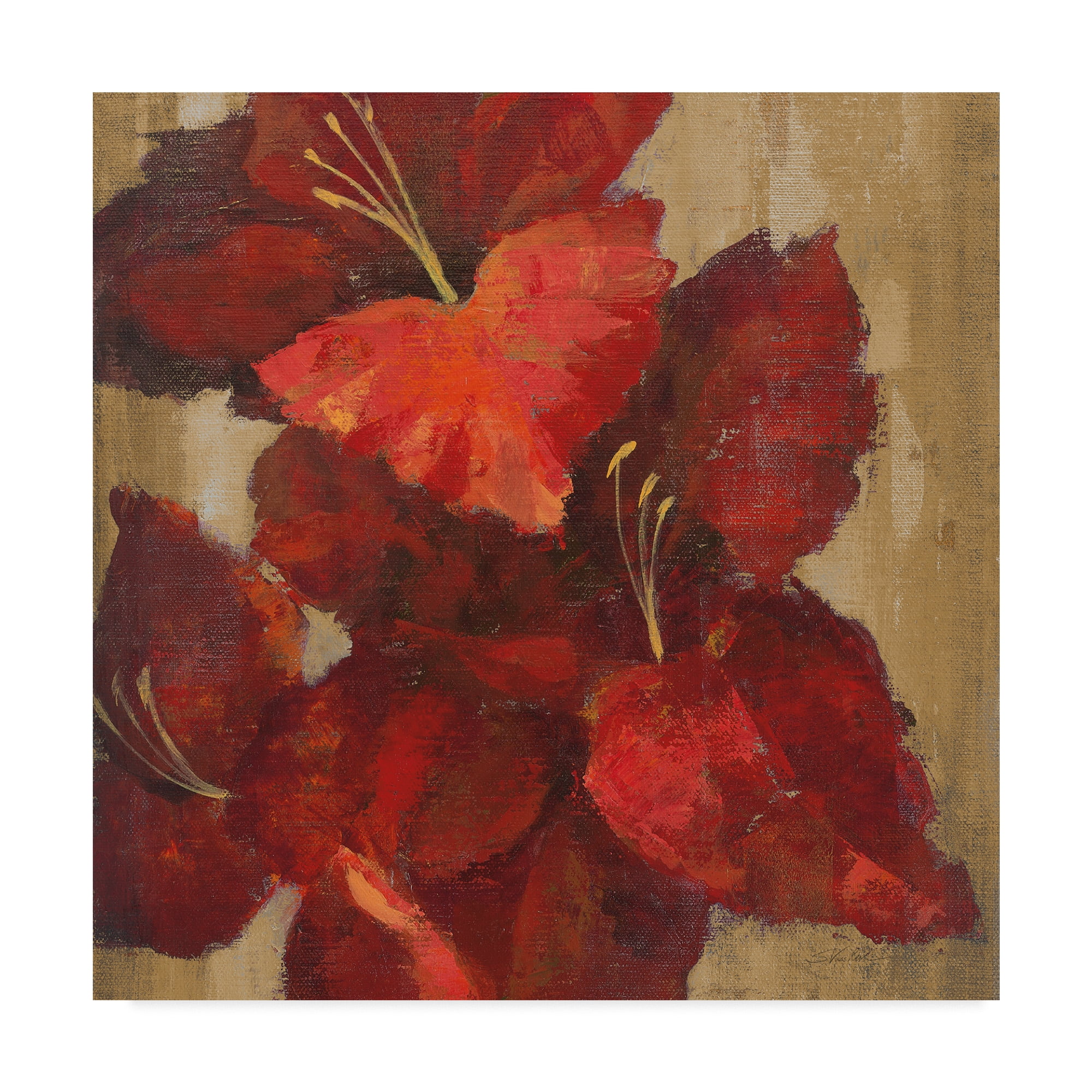 Trademark Fine Art 'Vivid Red Gladiola on Gold Crop' Canvas Art by Silvia Vassileva