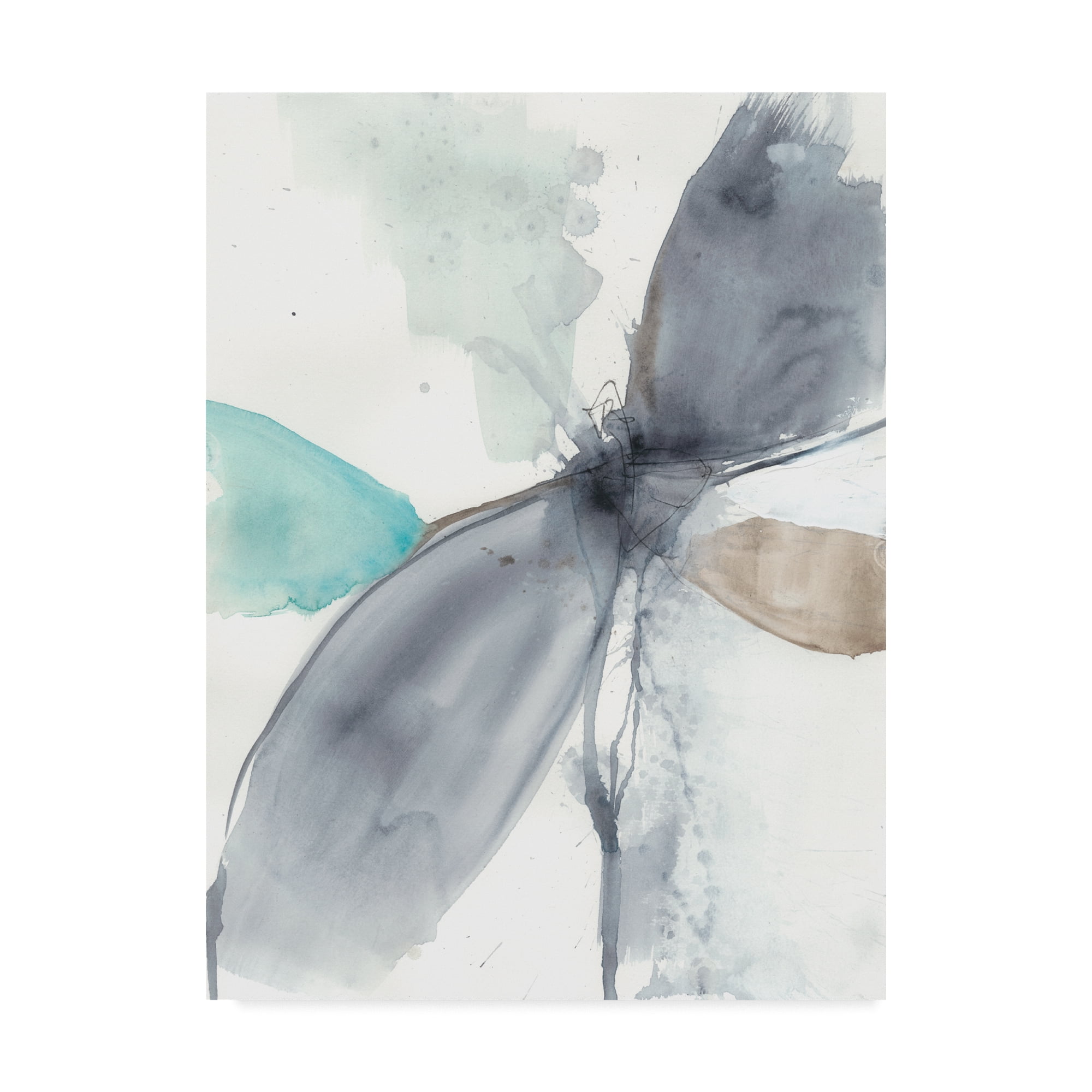 Trademark Fine Art 'Vortex Illusion I' Canvas Art by Jennifer Goldberger