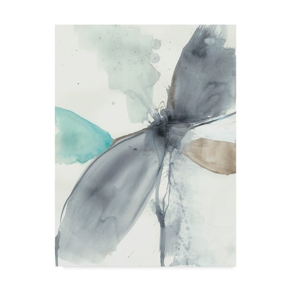 Trademark Fine Art 'Vortex Illusion I' Canvas Art by Jennifer Goldberger