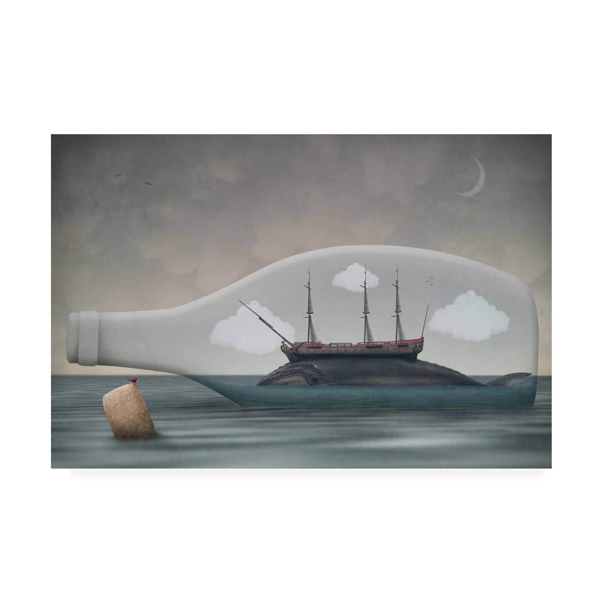 Trademark Fine Art 'Voyage in a Bottle' Canvas Art by Greg Nobli