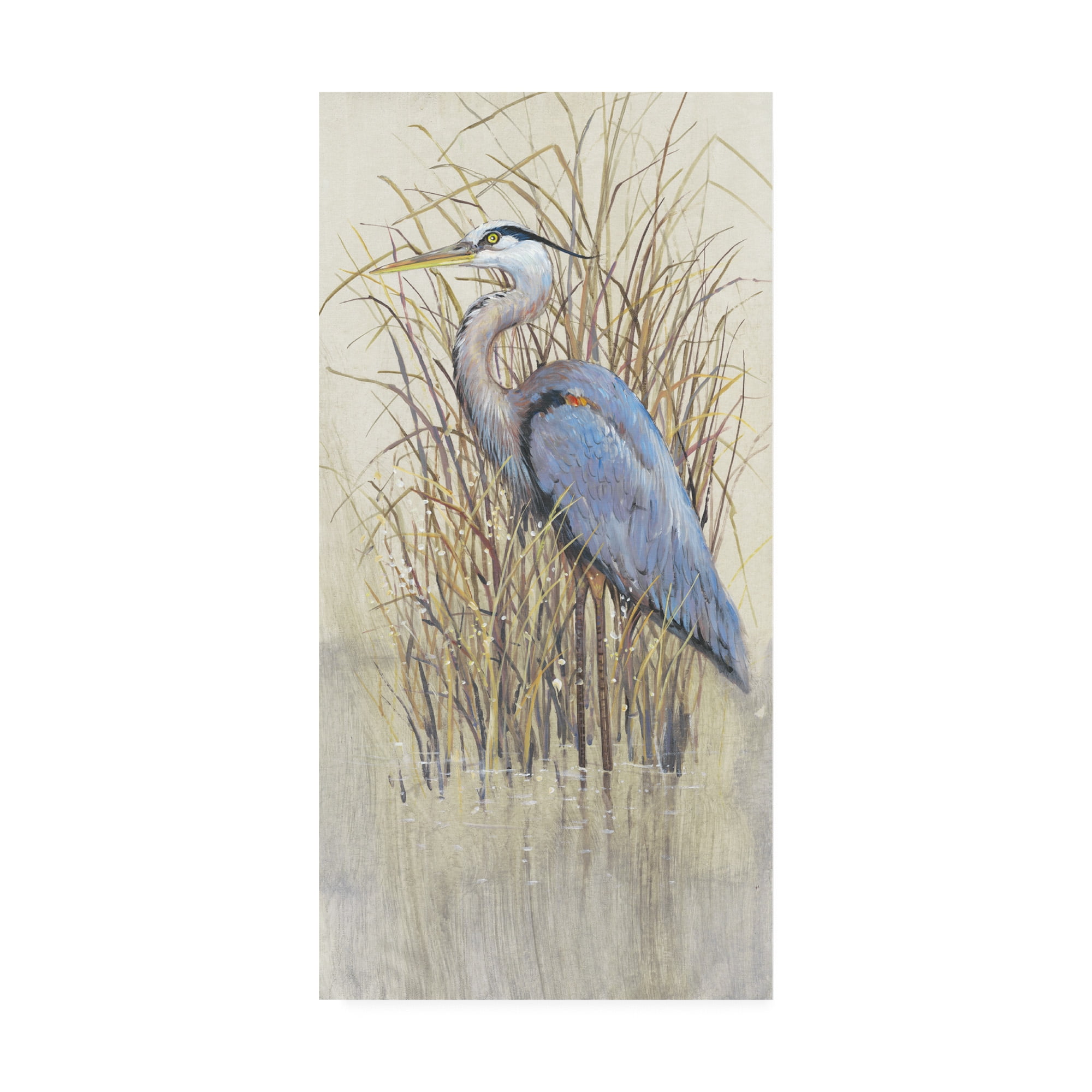 Trademark Fine Art 'Wading II' Canvas Art by Tim O'Toole