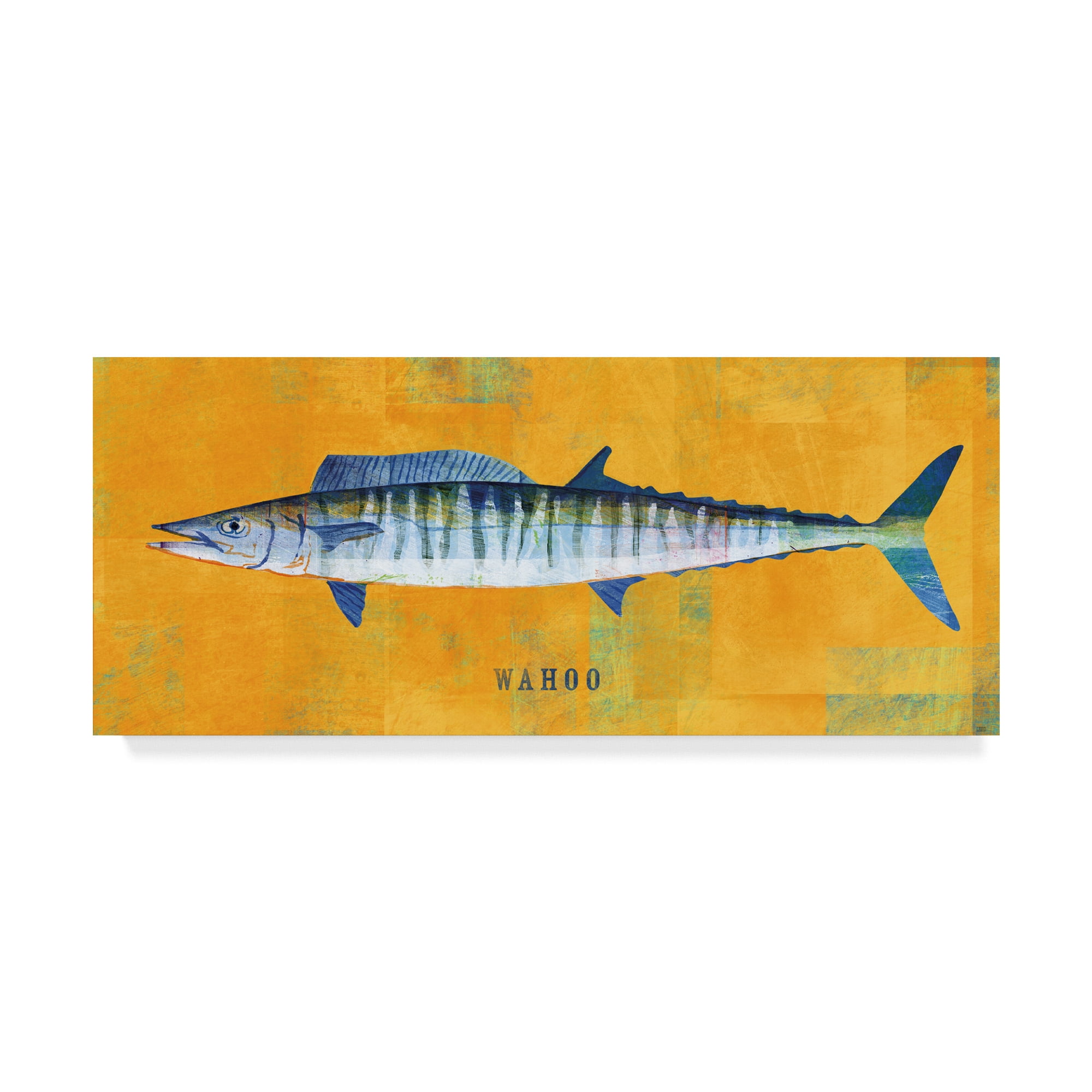 Trademark Fine Art 'Wahoo' Canvas Art by John W. Golden