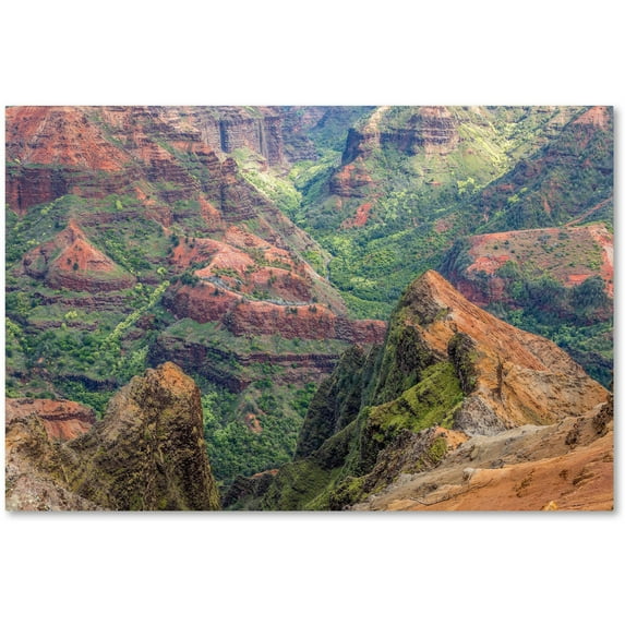 Trademark Fine Art 'Waimea Canyon' Canvas Art by Pierre Leclerc