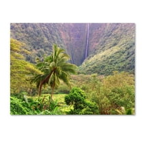 Trademark Fine Art 'Waipio Valley' Canvas Art by Mike Jones Photo