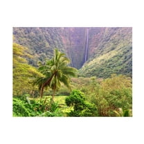 Trademark Fine Art 'Waipio Valley' Canvas Art by Mike Jones Photo