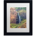 thumbnail image 1 of Trademark Fine Art 'Waipoo Falls' Canvas Art by Pierre Leclerc, White Matte, Black Frame, 1 of 4