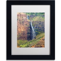 Trademark Fine Art 'Waipoo Falls' Canvas Art by Pierre Leclerc, White Matte, Black Frame