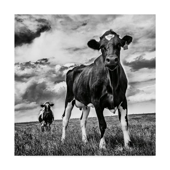 Trademark Fine Art 'Waiting BW Crop' Canvas Art by Aledanda
