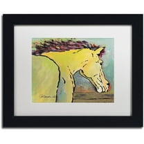 Trademark Fine Art "Waiting for Sunrise" Canvas Art by Pat Saunders-White, White Matte, Black Frame