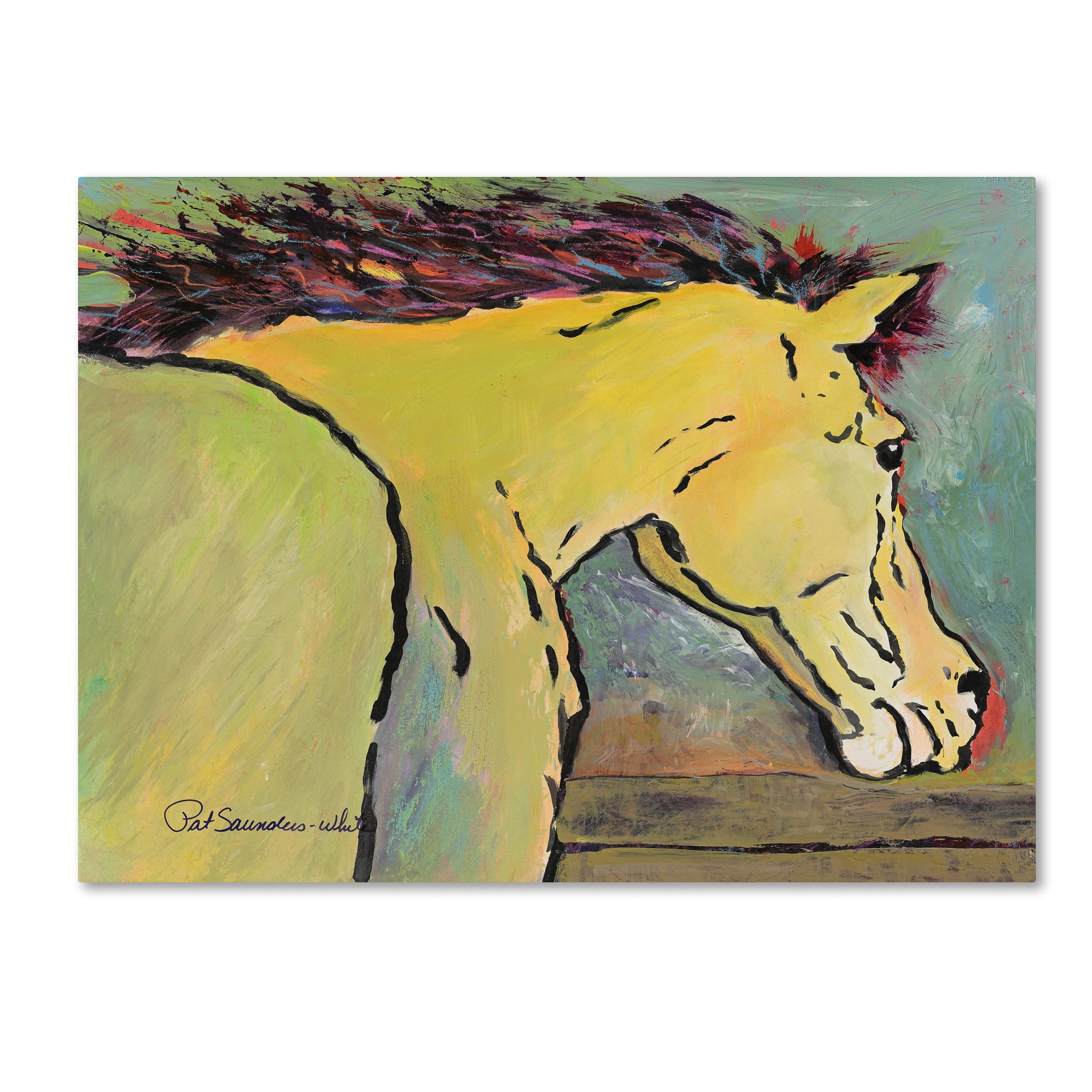 Trademark Fine Art "Waiting for Sunrise" Canvas Art by Pat Saunders-White