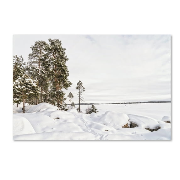 Trademark Fine Art 'Wake Up Alone' Canvas Art by Philippe Sainte-Laudy