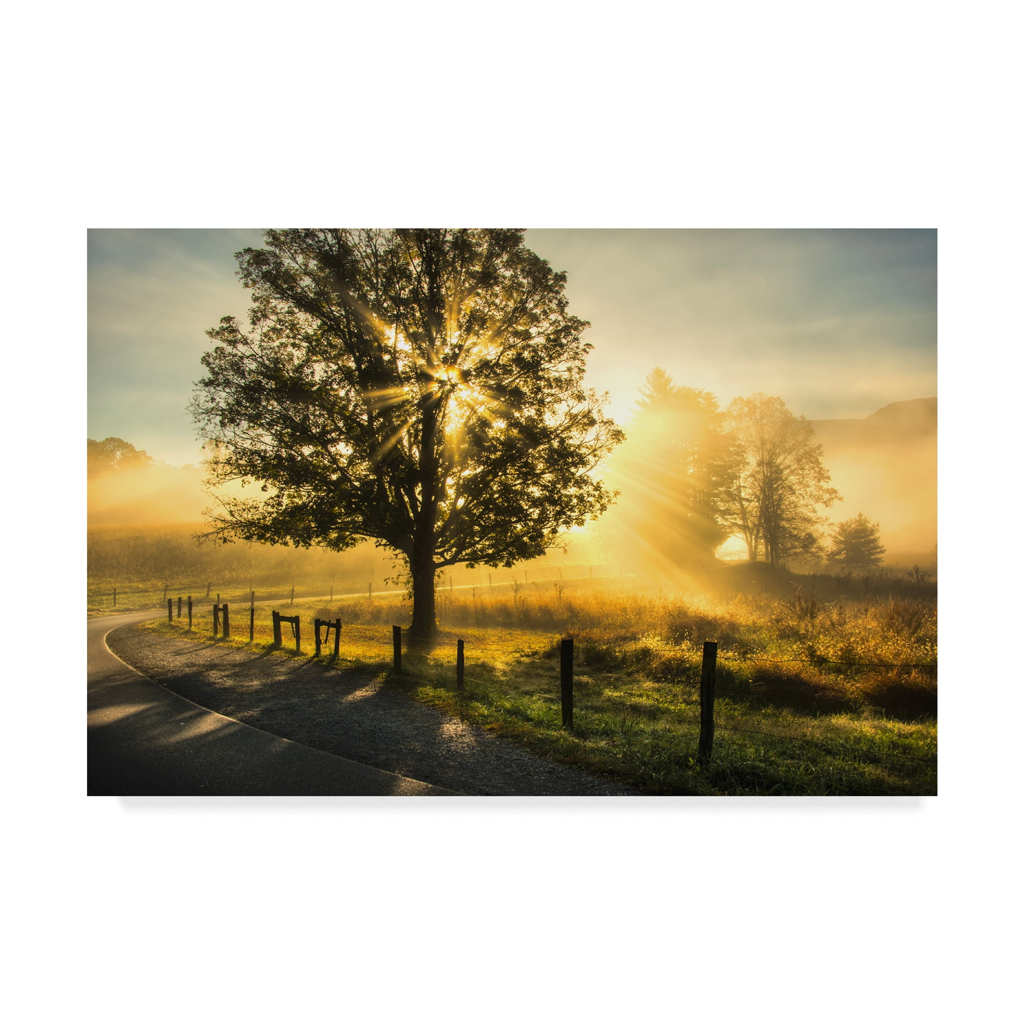 Trademark Fine Art 'Wake Up Call Country Road' Canvas Art by Danny Head
