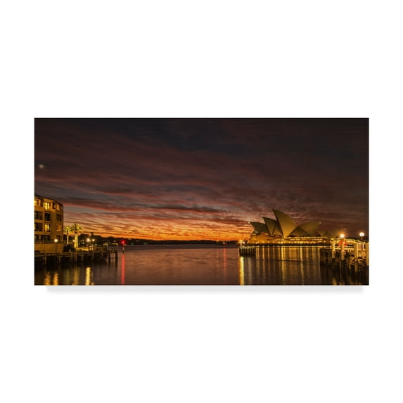 Trademark Fine Art 'Wake Up Sydney' Canvas Art by Danny Head