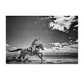 thumbnail image 1 of Trademark Fine Art 'Walk on Water' Canvas Art by Dan Ballard, 1 of 3