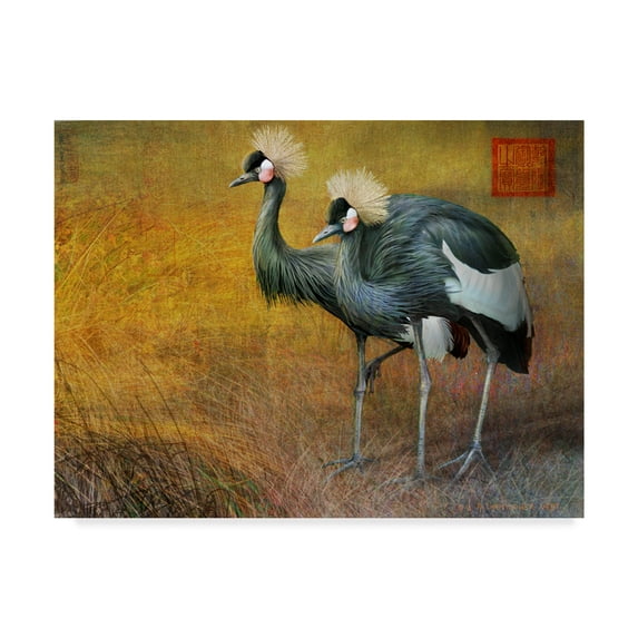 Trademark Fine Art 'Walking Crown' Canvas Art by Chris Vest