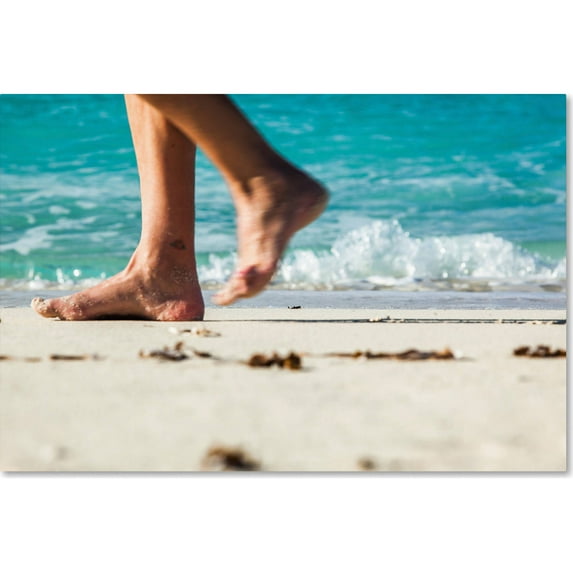 Trademark Fine Art "Walking The Beach" Canvas Art by Yale Gurney