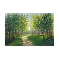 thumbnail image 1 of Trademark Fine Art 'Walking Trail I' Canvas Art by Tim OToole, 1 of 4