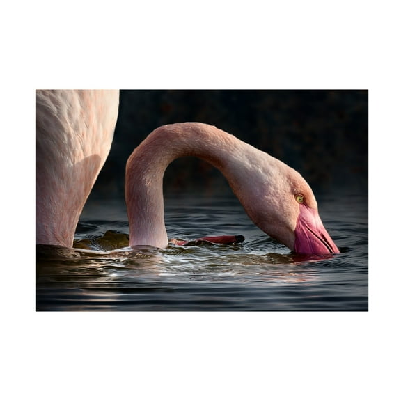 Trademark Fine Art Walter Caterina senza titolo Canvas Wall Art