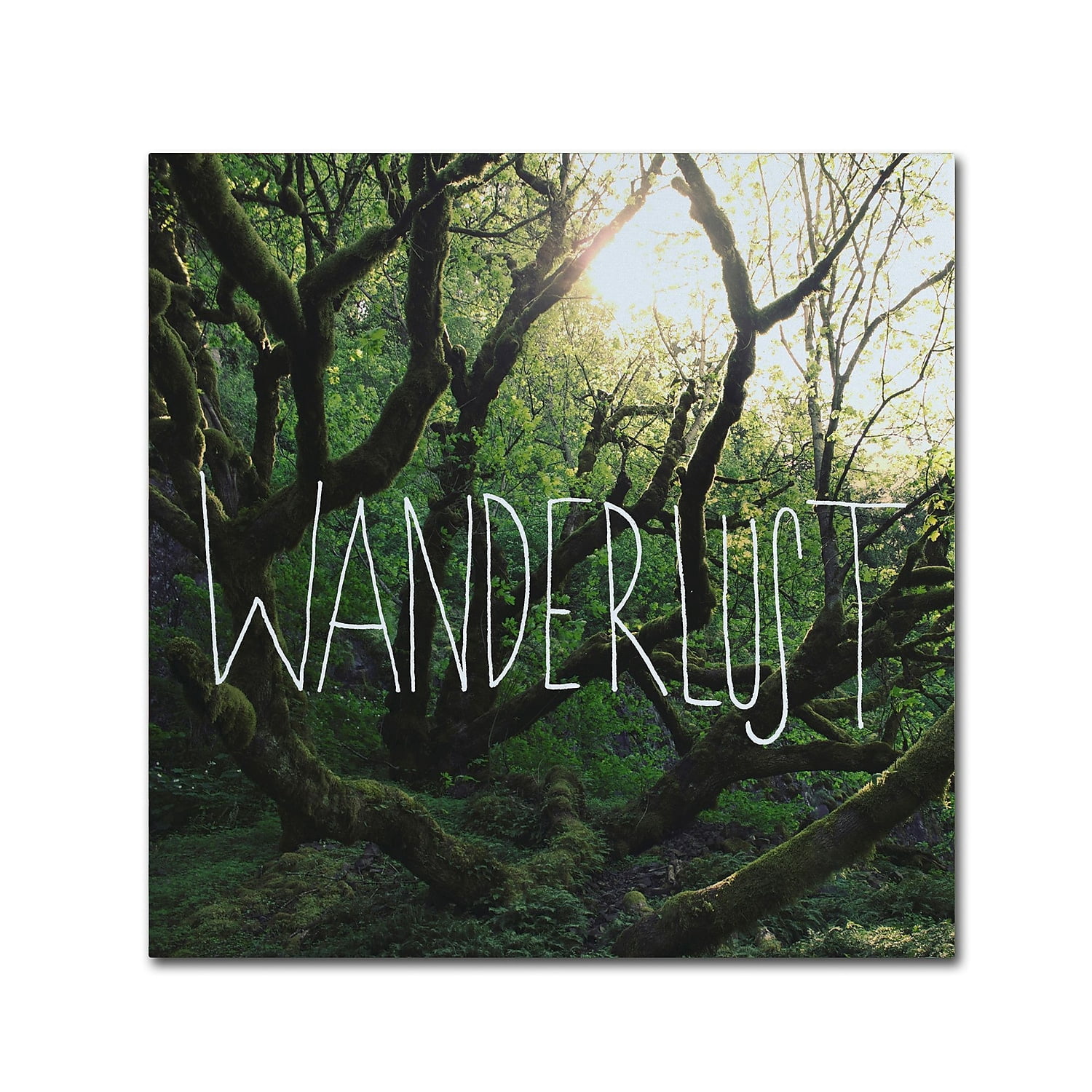 Trademark Fine Art "Wanderlust" Canvas Art by Leah Flores