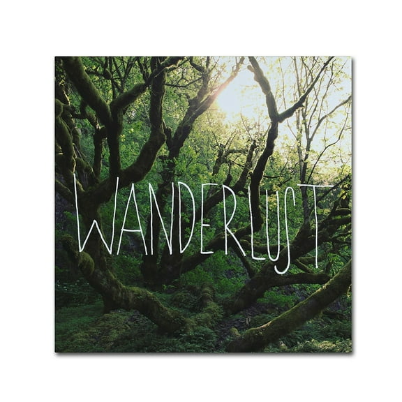 Trademark Fine Art "Wanderlust" Canvas Art by Leah Flores