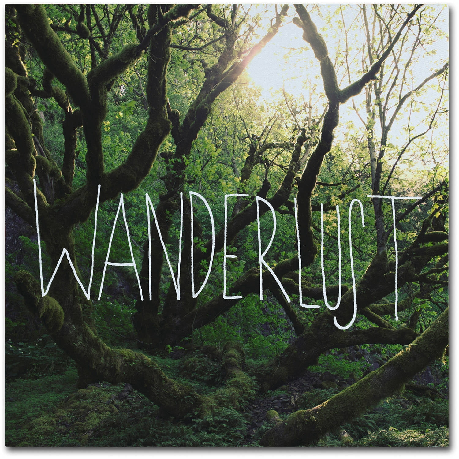 Trademark Fine Art "Wanderlust" Canvas Art by Leah Flores