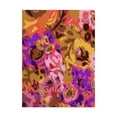 thumbnail image 1 of Trademark Fine Art 'Warm Abstract Floral I' Canvas Art by Karen Fields, 1 of 4