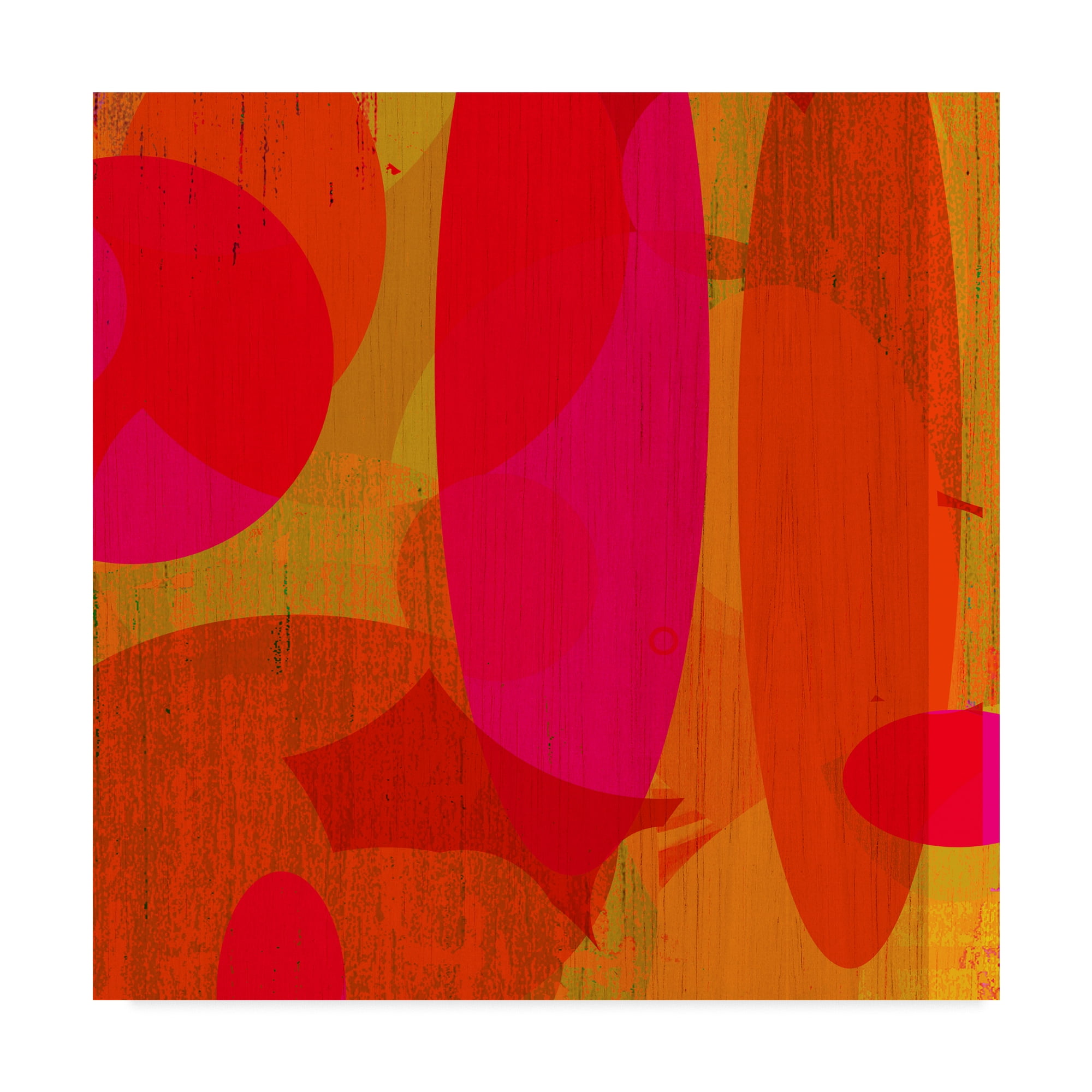 Trademark Fine Art 'Warm Ellipses II' Canvas Art by Ricki Mountain