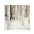 thumbnail image 1 of Trademark Fine Art 'Warm Winter Light II' Canvas Art by Julia Purinton, 1 of 3